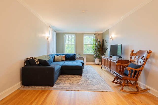 6652 N Glenwood Ave Unit 3N, Chicago, IL 60626 - living area featuring ornamental molding, radiator heating unit, baseboards, and light wood-style flooring