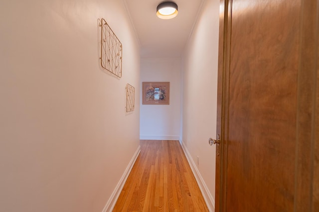 6652 N Glenwood Ave Unit 3N, Chicago, IL 60626 - hall featuring light wood-type flooring, crown molding, and baseboards