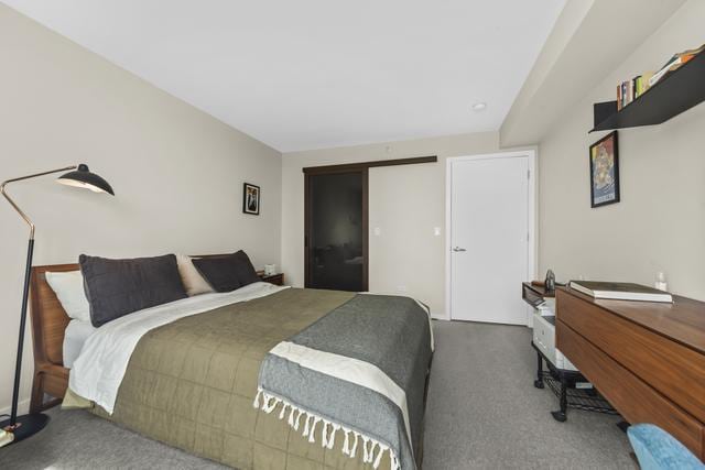 1640 Maple Ave Unit 505, Evanston, IL 60201 - bedroom featuring carpet flooring and a closet