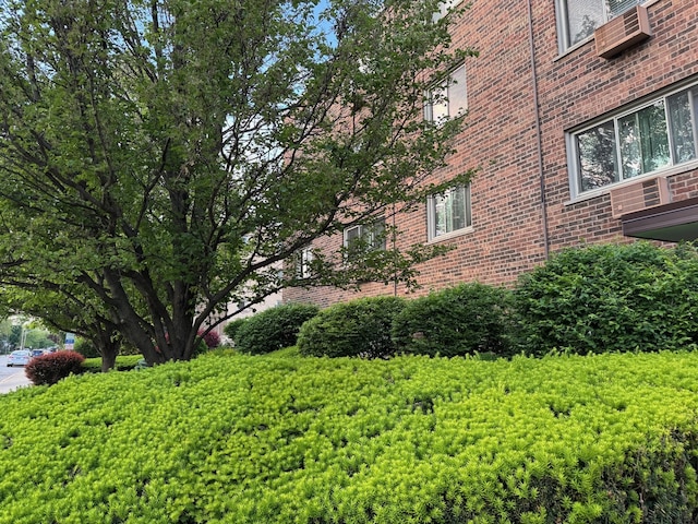 477 Graceland Ave Unit 2F, Des Plaines, IL 60016 - view of yard