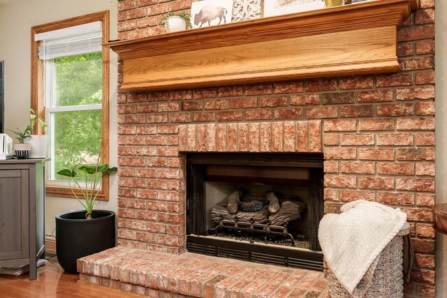 694 Lake Summerset Rd, Davis, IL 61019 - detailed view of a fireplace and wood finished floors