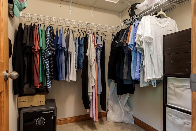 694 Lake Summerset Rd, Davis, IL 61019 - spacious closet with carpet