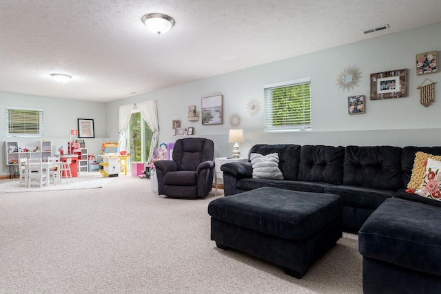 694 Lake Summerset Rd, Davis, IL 61019 - living area with a textured ceiling and carpet