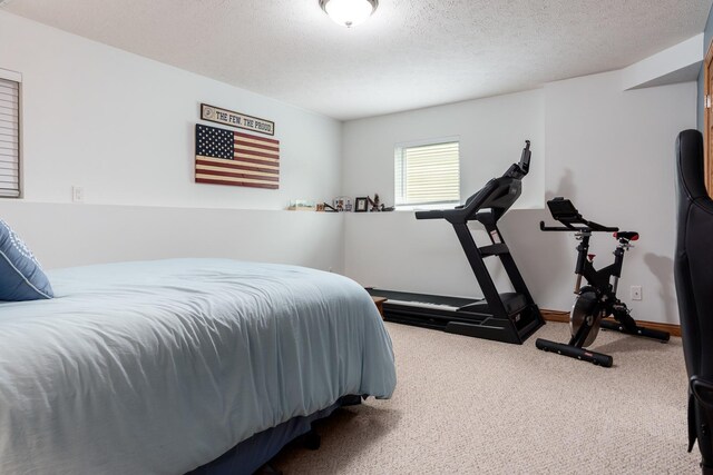 694 Lake Summerset Rd, Davis, IL 61019 - carpeted bedroom with a textured ceiling and baseboards