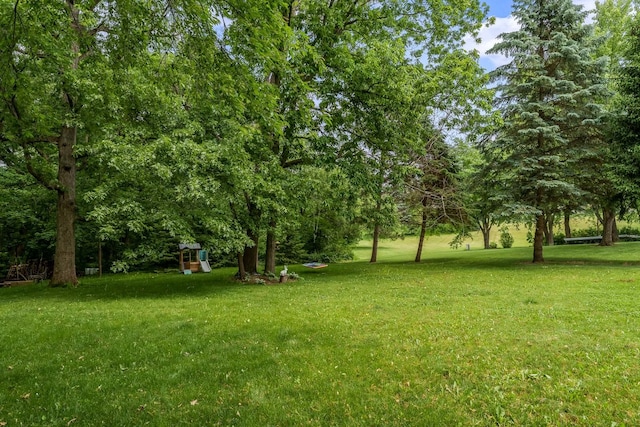 694 Lake Summerset Rd, Davis, IL 61019 - view of green lawn