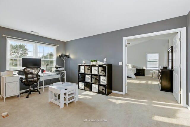 16347 W Cagwin Dr, Lockport, IL 60441 - office space featuring plenty of natural light and light carpet