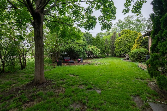 3142 Monterey Dr, Flossmoor, IL 60422 - view of green lawn