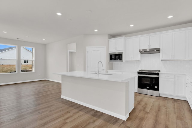 3214 Lincoln Prairie Blvd, Aurora, IL 60503 - kitchen with appliances with stainless steel finishes, under cabinet range hood, a sink, light wood-style floors, and a center island with sink