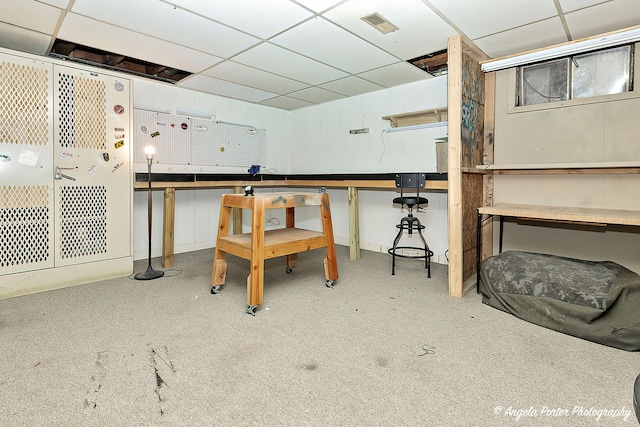 34942 N Gogol Ave, Ingleside, IL 60041 - below grade area featuring a workshop area and a paneled ceiling