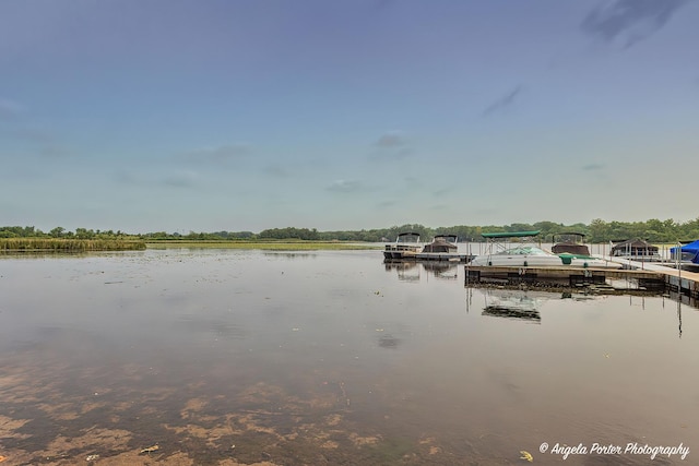 34942 N Gogol Ave, Ingleside, IL 60041 - water view with a boat dock