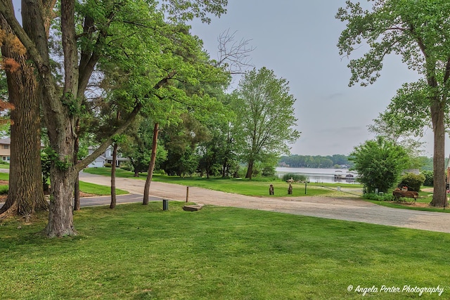 34942 N Gogol Ave, Ingleside, IL 60041 - surrounding community featuring a water view and a yard
