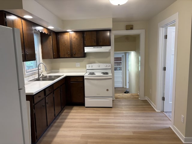 112 W 6th St, Gridley, IL 61744 - kitchen with white appliances, under cabinet range hood, dark brown cabinetry, light wood-style flooring, and light countertops
