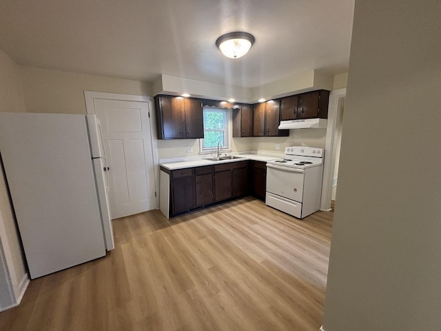 112 W 6th St, Gridley, IL 61744 - kitchen with white appliances, dark brown cabinetry, light wood-style floors, and under cabinet range hood