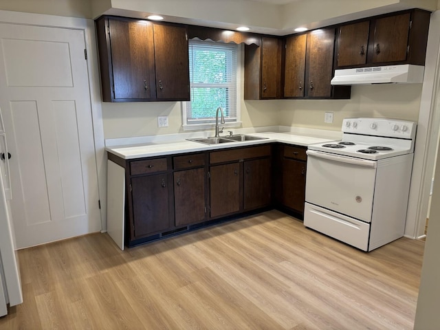 112 W 6th St, Gridley, IL 61744 - kitchen with white range with electric cooktop, under cabinet range hood, light wood-type flooring, dark brown cabinets, and light countertops