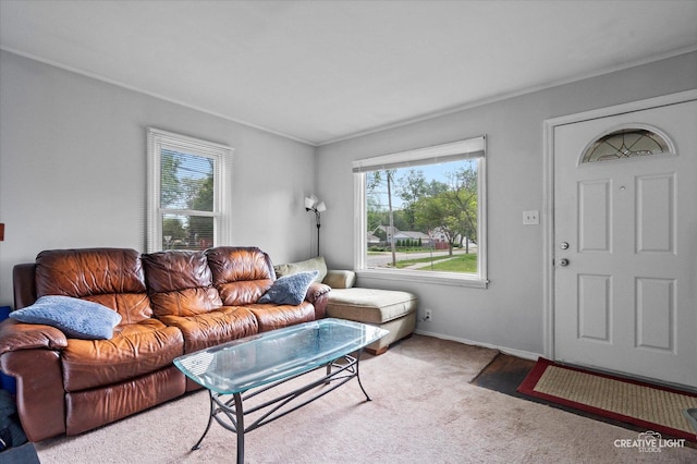 424 Howard Ave, Aurora, IL 60506 - living area with plenty of natural light, ornamental molding, carpet floors, and baseboards
