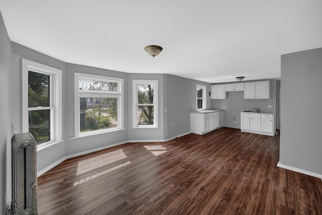 72 E 136th St, Riverdale, IL 60827 - unfurnished living room with radiator and dark wood finished floors