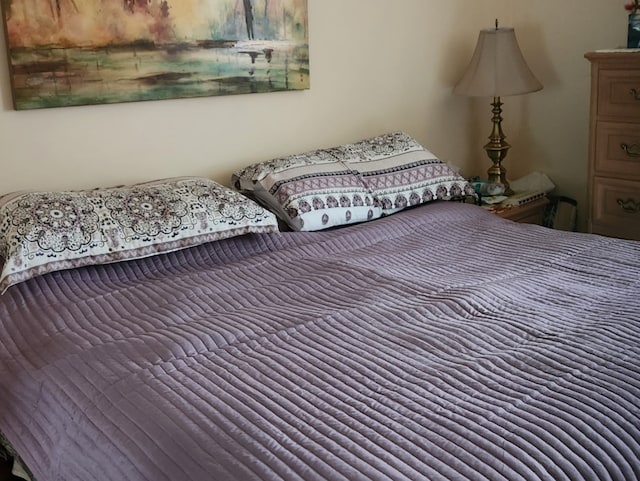 3300 N Carriageway Dr Unit 209, Arlington Heights, IL 60004 - view of bedroom