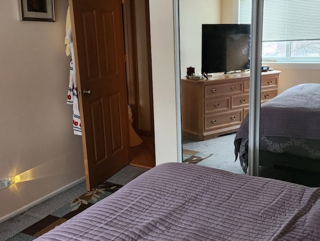 3300 N Carriageway Dr Unit 209, Arlington Heights, IL 60004 - bedroom featuring carpet flooring and baseboards