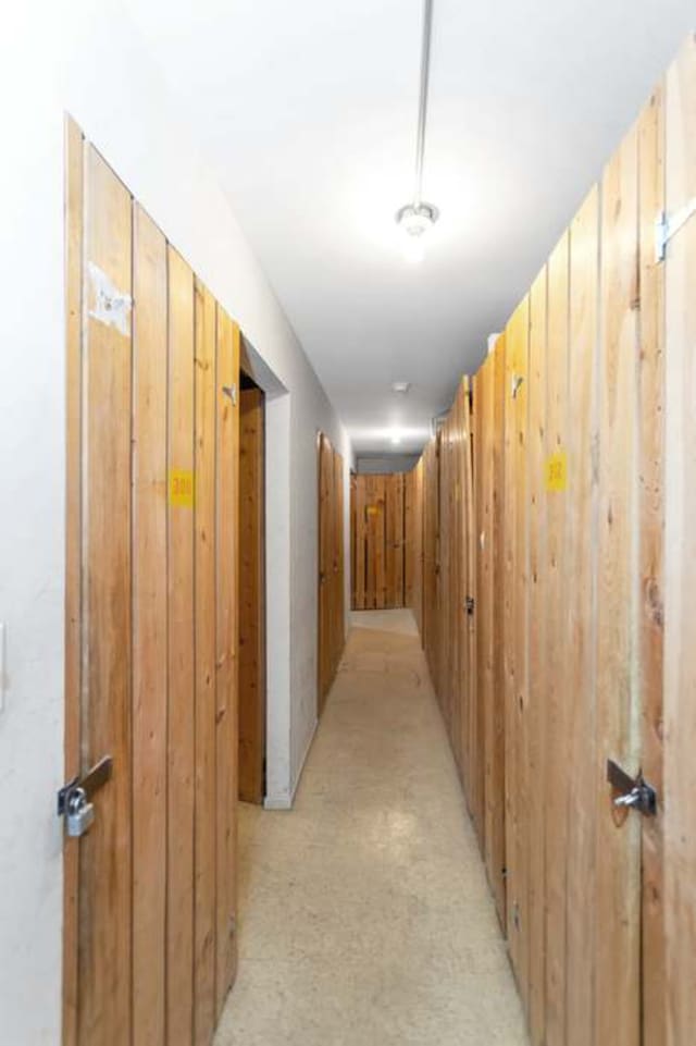 3300 N Carriageway Dr Unit 209, Arlington Heights, IL 60004 - hallway with wood walls and light colored carpet