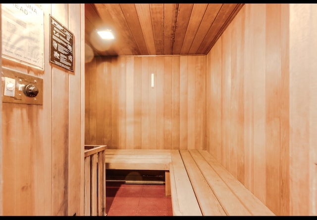 3300 N Carriageway Dr Unit 209, Arlington Heights, IL 60004 - relaxing sauna with wooden ceiling and wooden walls
