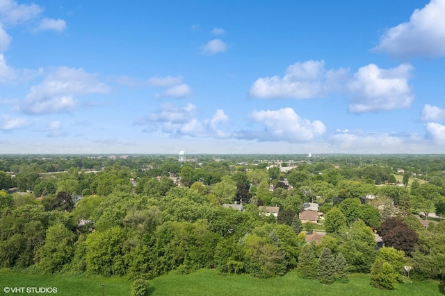 1 Renaissance Pl Unit 3Ph, Palatine, IL 60067 - bird's eye view of a heavily wooded area