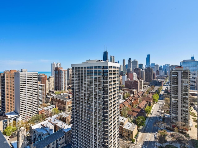 1455 N Sandburg Ter Unit 2902B, Chicago, IL 60610 - photo 22