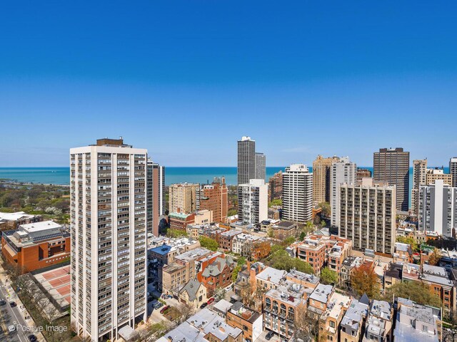 1455 N Sandburg Ter Unit 2902B, Chicago, IL 60610 - photo 23
