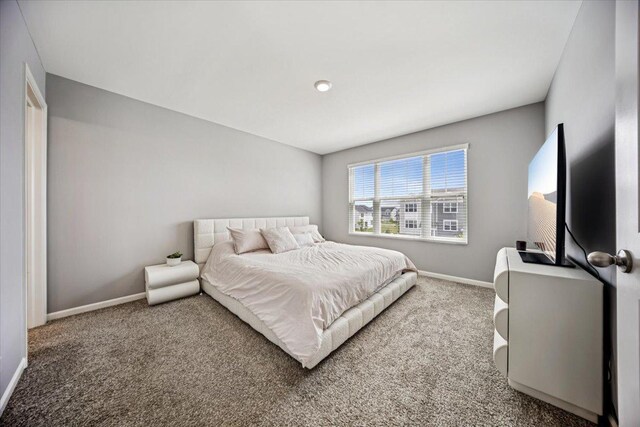 3808 Honeysuckle Ln, Elgin, IL 60124 - carpeted bedroom with baseboards