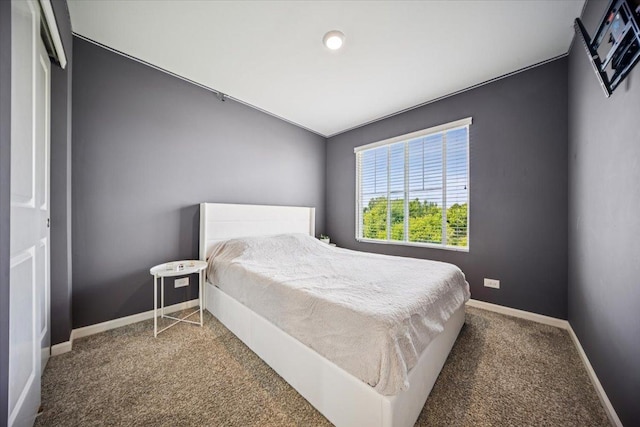 3808 Honeysuckle Ln, Elgin, IL 60124 - carpeted bedroom featuring baseboards