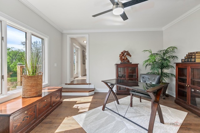 6517 Saddle Ridge Ct, Long Grove, IL 60047 - home office with crown molding, ceiling fan, and dark wood-style floors