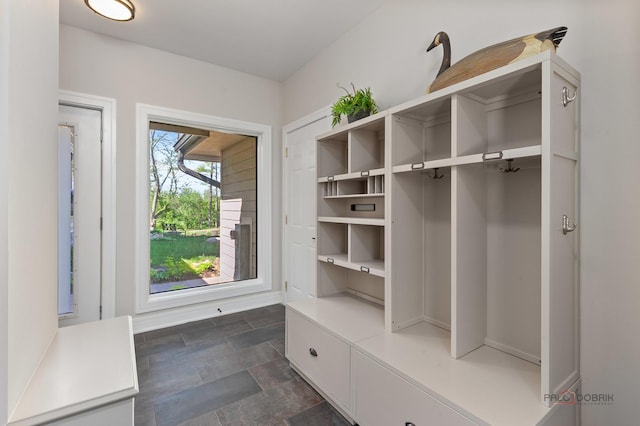 6517 Saddle Ridge Ct, Long Grove, IL 60047 - mudroom featuring stone finish flooring