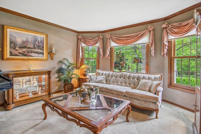 5N647 Forest Glen Ln, Saint Charles, IL 60175 - living room featuring carpet flooring, healthy amount of natural light, baseboards, and crown molding