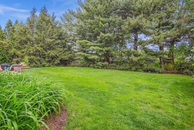 5N647 Forest Glen Ln, Saint Charles, IL 60175 - view of grassy yard