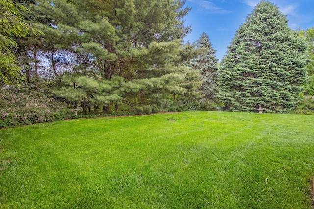 5N647 Forest Glen Ln, Saint Charles, IL 60175 - view of green lawn