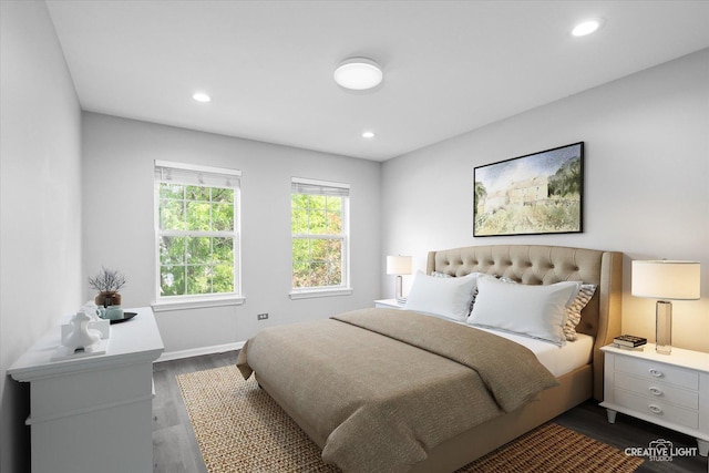 2724 Bluewater Cir, Naperville, IL 60564 - bedroom featuring dark wood finished floors, recessed lighting, and baseboards