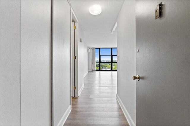 2901 S Michigan Ave Unit 903, Chicago, IL 60616 - hallway featuring wood finished floors, a wall of windows, and baseboards