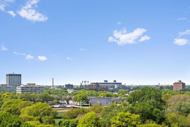 2901 S Michigan Ave Unit 903, Chicago, IL 60616 - city view