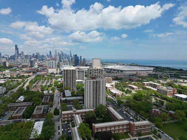 2901 S Michigan Ave Unit 903, Chicago, IL 60616 - aerial view of skyline