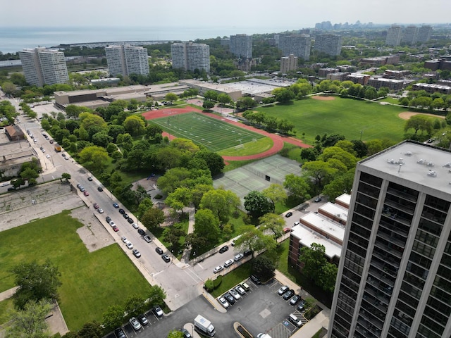 2901 S Michigan Ave Unit 903, Chicago, IL 60616 - view of urban area
