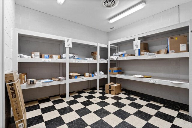 2901 S Michigan Ave Unit 903, Chicago, IL 60616 - view of storage