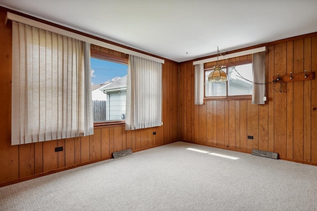 4612 W 89th Pl, Hometown, IL 60456 - carpeted empty room featuring wooden walls and baseboards