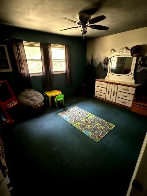 29478 E County Road 2390th Rd, Manito, IL 61546 - sitting room with a ceiling fan and carpet