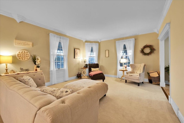 3838 Plainfield Rd, Oswego, IL 60543 - living room with ornamental molding, light carpet, and baseboards