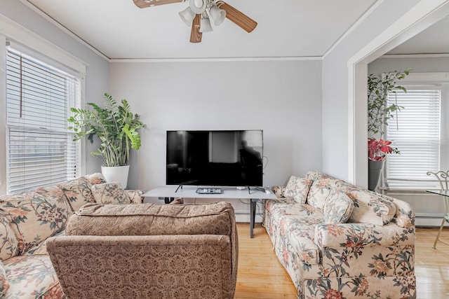 1418 S Cicero Ave, Cicero, IL 60804 - living area featuring ceiling fan, plenty of natural light, crown molding, and light wood-style flooring