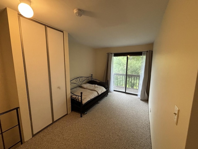 59 Vail Colony St Unit 3, Fox Lake, IL 60020 - bedroom with light carpet, access to exterior, and a closet