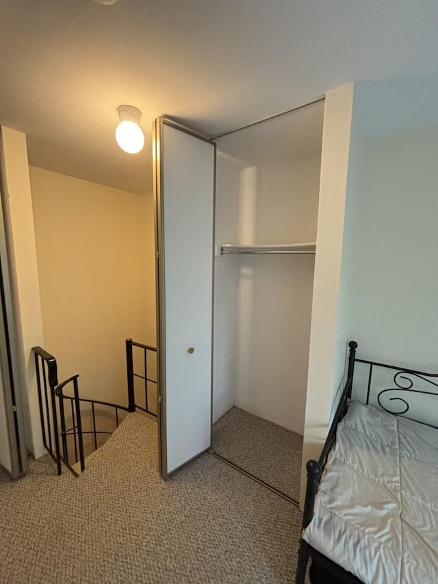 59 Vail Colony St Unit 3, Fox Lake, IL 60020 - bedroom with carpet and a closet