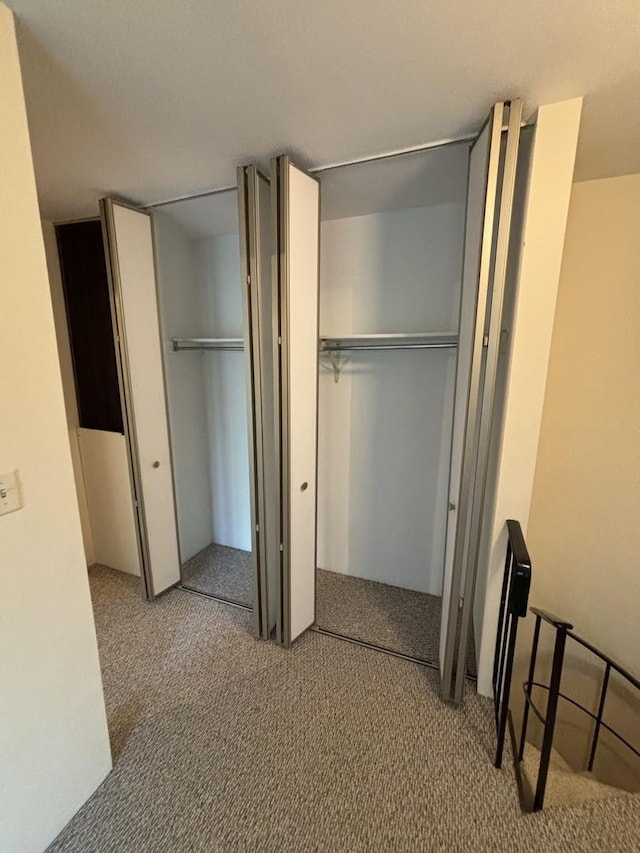 59 Vail Colony St Unit 3, Fox Lake, IL 60020 - view of closet
