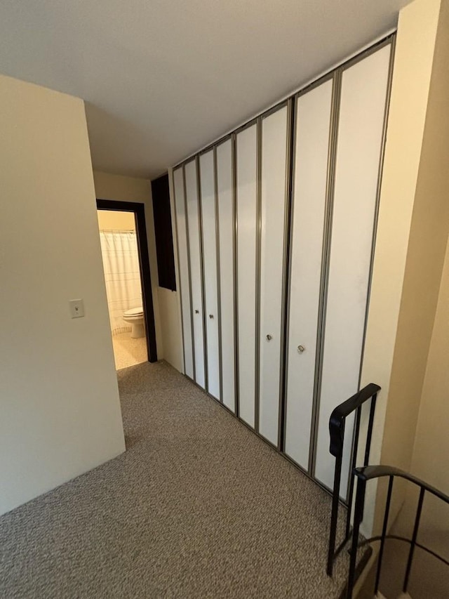 59 Vail Colony St Unit 3, Fox Lake, IL 60020 - hall with carpet