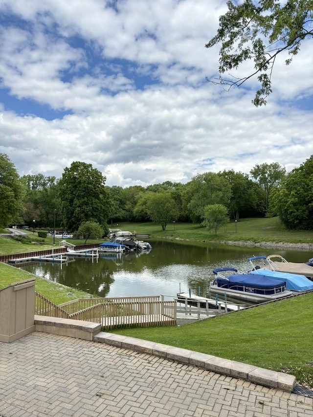 59 Vail Colony St Unit 3, Fox Lake, IL 60020 - dock featuring a water view and a yard