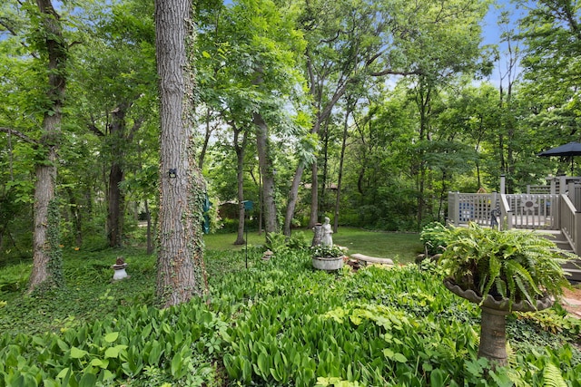 9014 W 123rd St, Palos Park, IL 60464 - photo 15